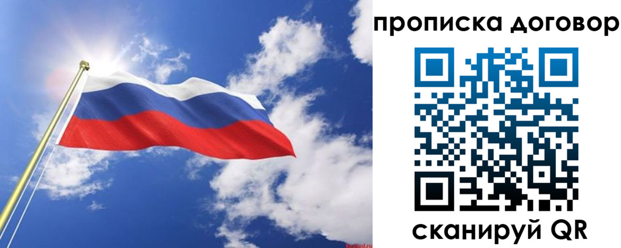 прописка гарантия в Каргополе